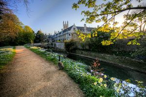 magdalen-college.jpg