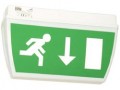 Ringtail ESP8M Weatherproof Exit Sign Emergency Light (Down Arrow)